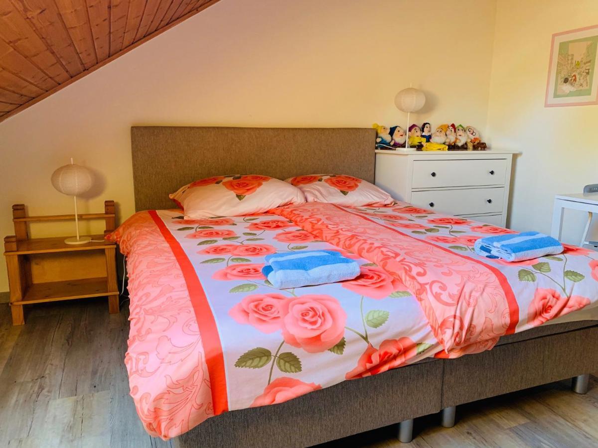 B&B Oostkapelle Aan Zee Kültér fotó